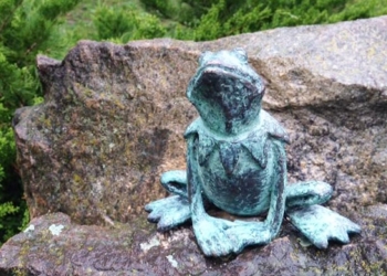 В память о лапках. На Закарпатье поставили памятник лягушке