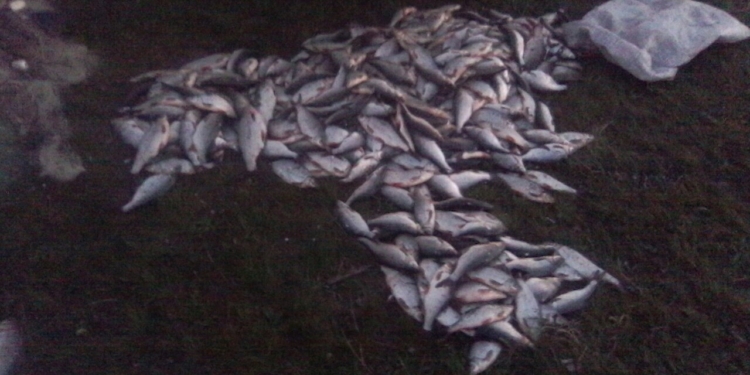 Николаевский рыбоохранный патруль поймал браконьеров – ловили сетями рыбу во время нереста