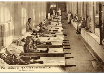 Ученые объяснили “живучесть” чумы тем, что палочка способна прятаться внутри амеб