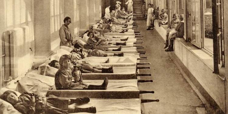 Ученые объяснили “живучесть” чумы тем, что палочка способна прятаться внутри амеб