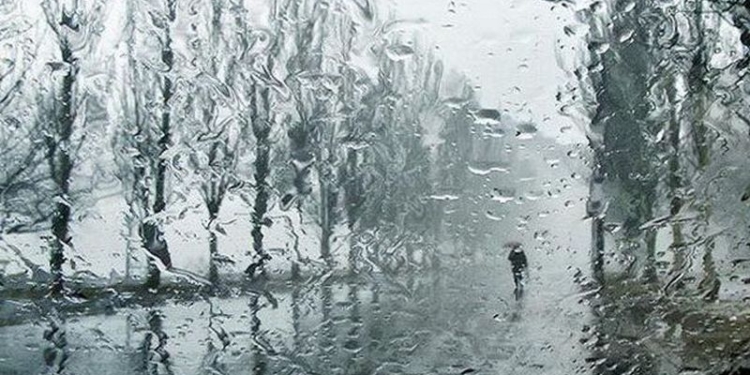 Синоптики обещают жителям Николаевской области мокрый снег во вторник