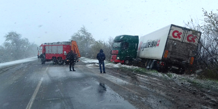 Из-за непогоды в Николаевской области обесточено 14 сел, в Николаеве упало 9 деревьев (ОБНОВЛЕНО)