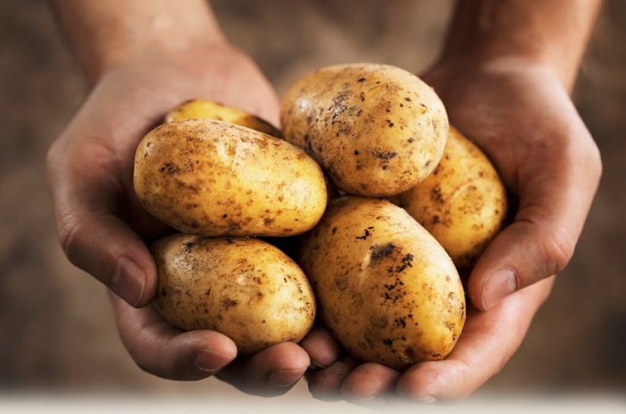 Шотландский инвестор на Львовщине будет делать биоупаковку из картофеля 1