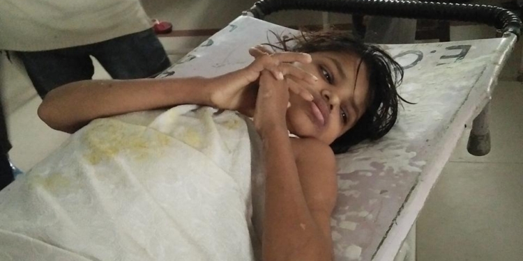 Девочку, которую нашли в Индии в стае обезьян, могли умышленно оставить в джунглях