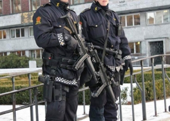 После инцидента в Стокгольме в крупных городах Норвегии полиции раздадут оружие