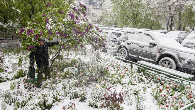 В Молдове бушует непогода: в Кишиневе объявили чрезвычайное положение