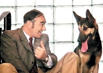 Только очень умные люди разговаривают с домашними животными – исследование