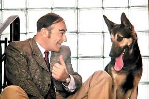 Только очень умные люди разговаривают с домашними животными – исследование