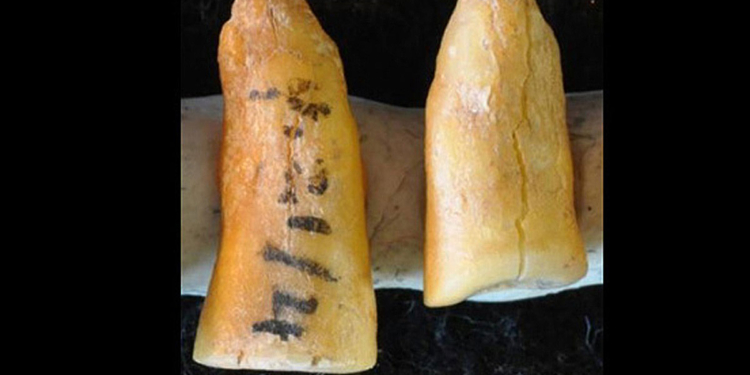 Археологи обнаружили зубные пломбы возрастом 13 тысяч лет