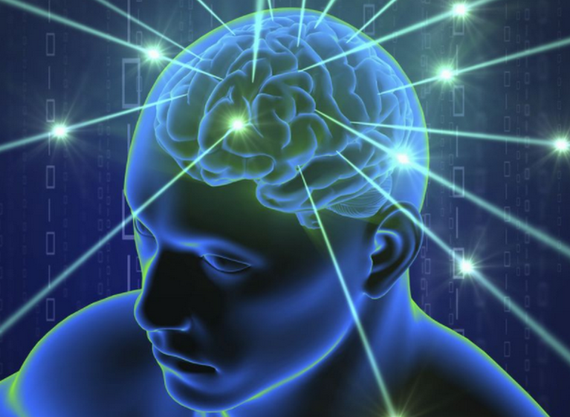 В голове человека нашли тип нейронов, отвечающих за способность правильно ориентироваться в пространстве 1