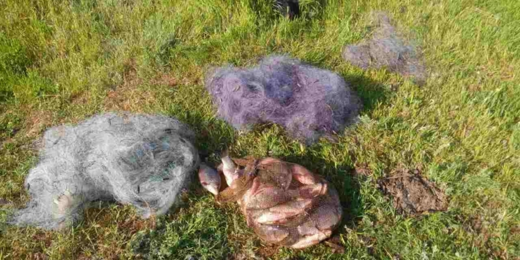 И снова николаевские пограничники остановили браконьеров