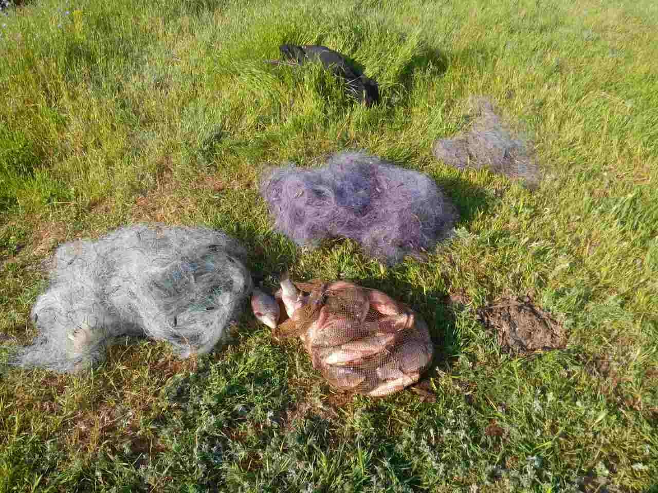 И снова николаевские пограничники остановили браконьеров