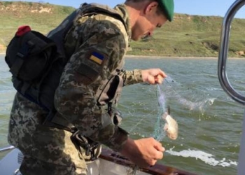 В Днепро-Бугском лимане пограничники вытравили более 2 км браконьерских сетей