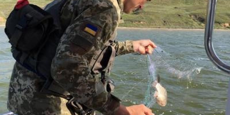 В Днепро-Бугском лимане пограничники вытравили более 2 км браконьерских сетей