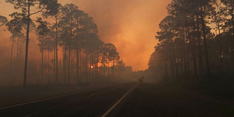 В США бушует лесной пожар