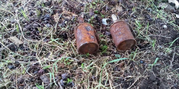 В сквере им.61 коммунара в Николаеве нашли 2 старых гранаты