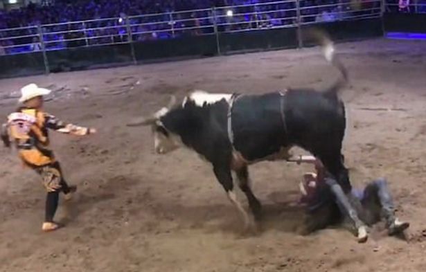 Родео – штука опасная: бык не только сбросил 24-летнего ковбоя, а и нанес ему значительные повреждения 1