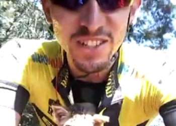 Добрым быть не трудно: бразильский велогонщик во время тренировочного заезда нашел на обочине дороги и подобрал брошенного котенка