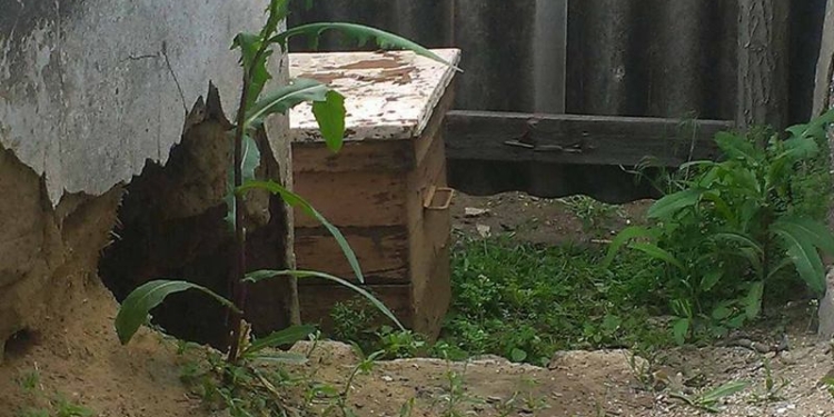 Любители сладенького: на Николаевщине украли 10 уликов, за что ворам «светит» до 5 лет лишения свободы