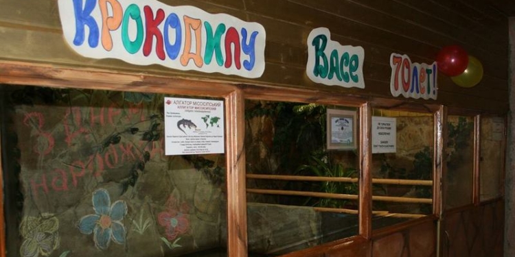 Юбилей – это весело: 70-летие крокодила Васи в Николаевском зоопарке отпраздновали с размахом