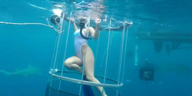 Когда что-то пошло не так: во время съемок порно-звезду за ногу укусила акула