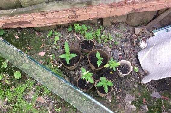 И конопля в кадках, и охотничий порох – и все это у жителя Витовского района