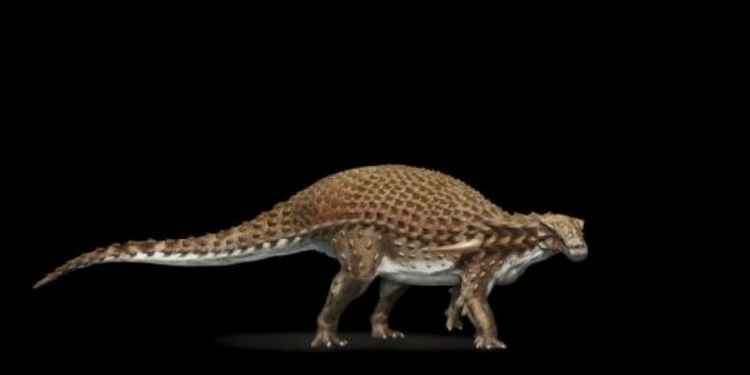 Что-то среднее между ящерицей и львом, но покрытое чешуей: ученые показали окаменевшего динозавра