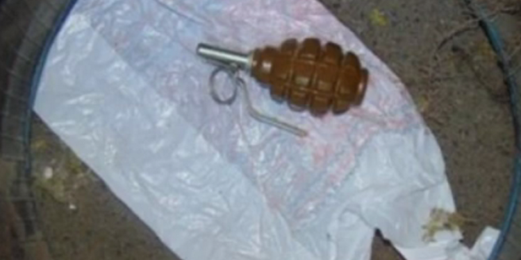 В Киеве нашли боевую гранату на детской площадке