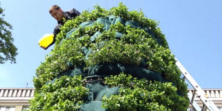 Интересное решение. В Киеве постамент памятника Ленину превратили в вертикальную клумбу с мятой и розмарином