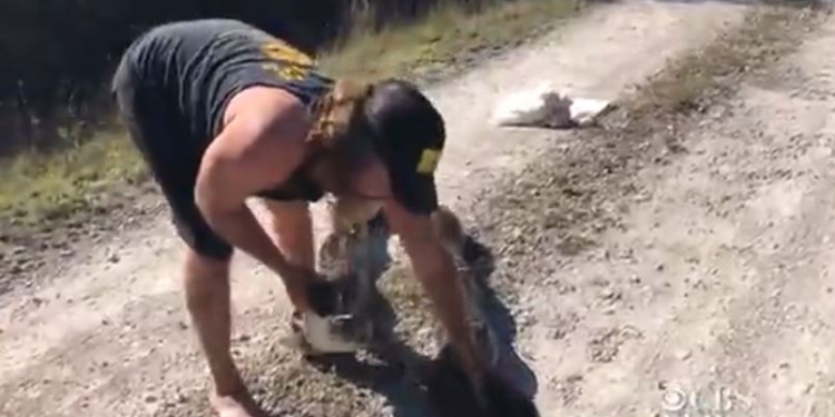 Во Флориде из убитого питона достали 78 яиц