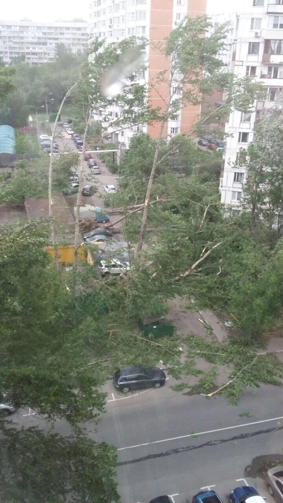 Из-за урагана в Москве погибли шесть человек 1
