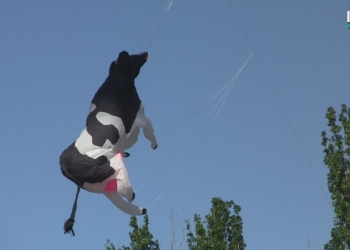 Николаев празднует День Европы: тысячи горожан вышли на «Европейское шествие»