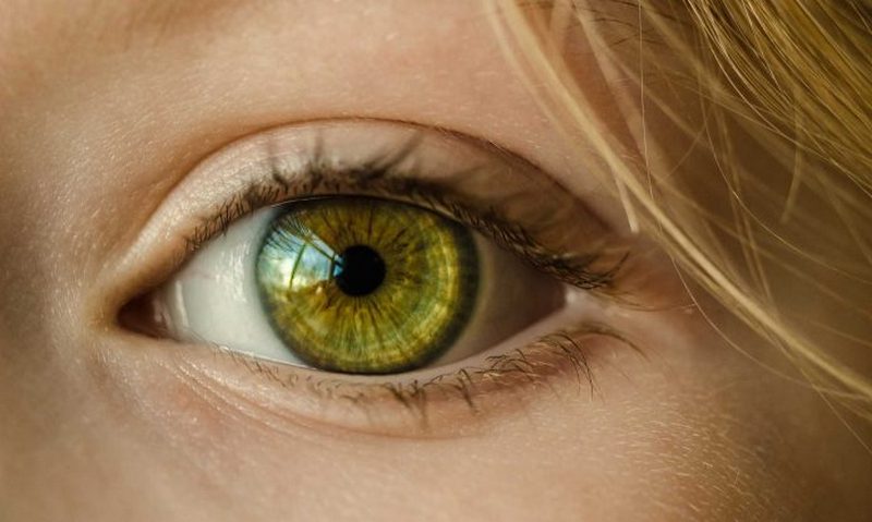 Ученые смогли за сутки восстановить зрение у слепого пациента 1