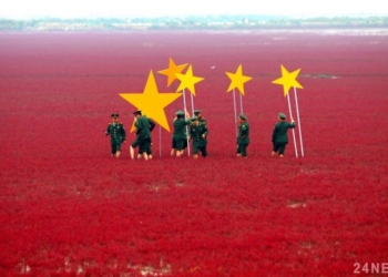 Китай планирует инвестировать 250 миллионов долларов в “Мотор Сич” – МЭРТ