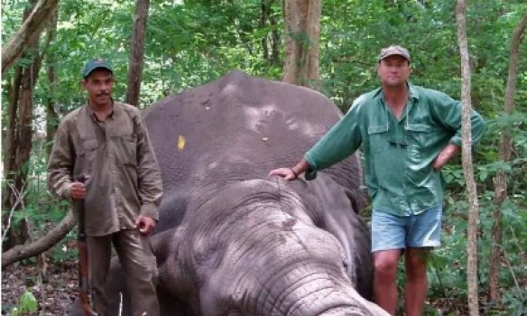В африканском заповеднике убитый слон раздавил профессионального охотника 1