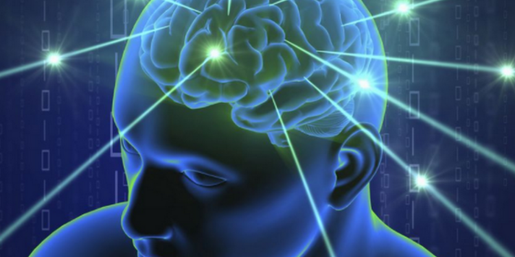 В голове человека нашли тип нейронов, отвечающих за способность правильно ориентироваться в пространстве