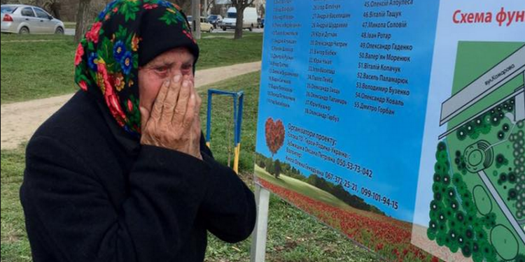 В Черновцах вандалы разгромили дубовую аллею, высаженную в память о погибших участниках АТО