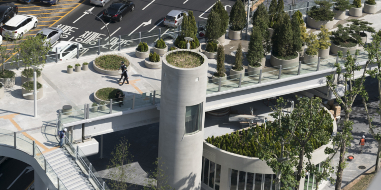 Парк над городом. Что можно сделать из старого моста. Если новый есть