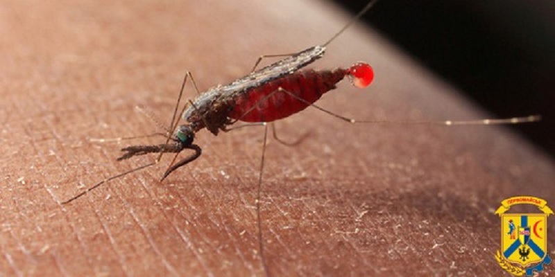 В Первомайске уже обработали почти 10 га берега от малярийных комаров. В Николаеве только планируют это сделать? 1