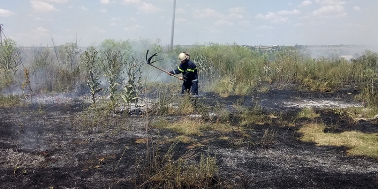 Уже вроде не совсем и степь, но пожары в экосистемах Николаевщины – это ощутимо: горит не только сухая трава, а и дома, хозпостройки и транспортные средства