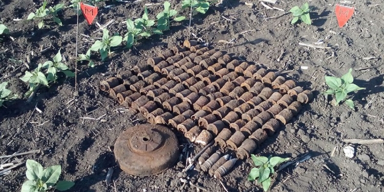 У села Шевченково на Николаевщине обнаружили 119 гранат и артснарядов прошлых войн