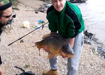 Не колобок, а ушел: как от двух чешских рыбаков карп сбежал