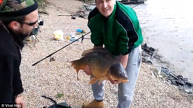 Не колобок, а ушел: как от двух чешских рыбаков карп сбежал