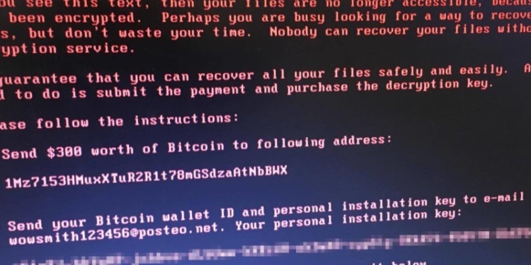 И тут Петя. На Николаевщине зарегистрировано четыре факта несанкционированного вмешательства в работу компьютерных сетей