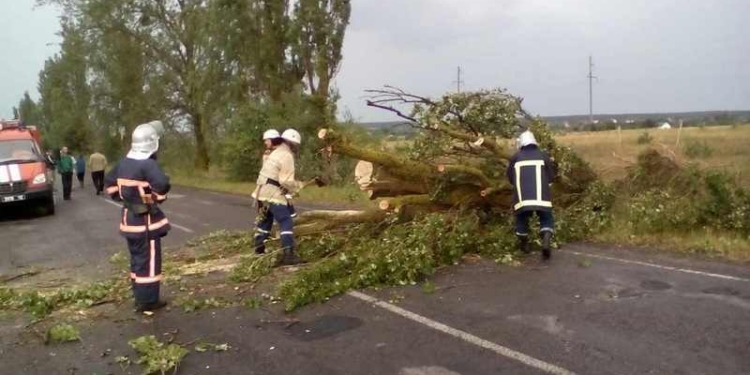 Непогода «погуляла» по Украине: от ударов молнии погибли 4 человека, в том числе трое детей, упали 216 деревьев и обесточен 881 населенный пункт