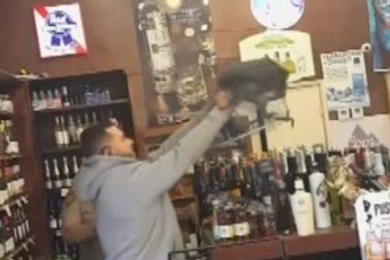 Борец за трезвость? В США павлин разгромил винный магазин