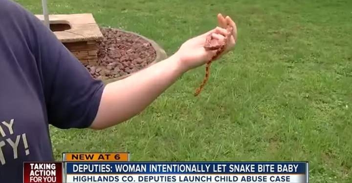 Воспитание болью. Американская мамаша не помешала змее укусить свою дочь