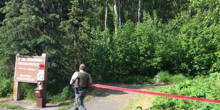 На Аляске медведь загрыз 16-летнего участника забега