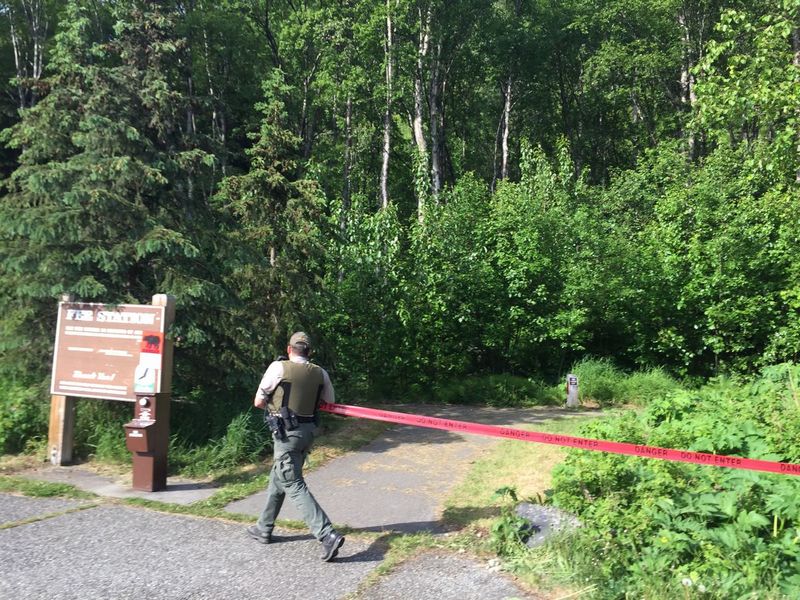 На Аляске медведь загрыз 16-летнего участника забега 1