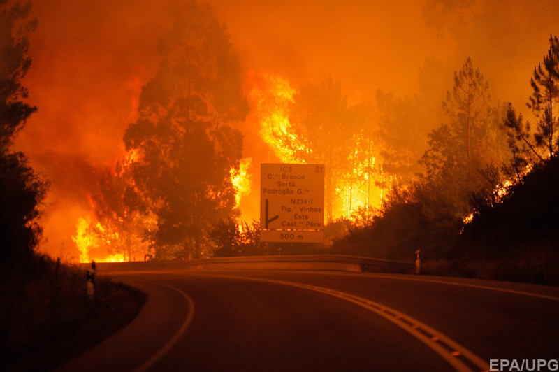 В Португалии в лесных пожарах погибло 63 человека 1